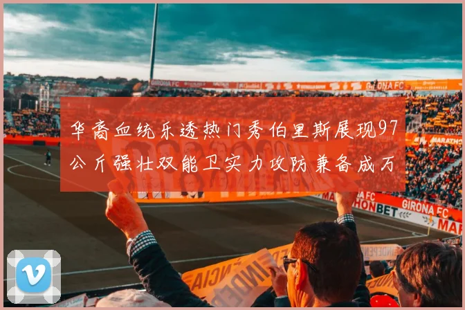 华裔血统乐透热门秀伯里斯展现97公斤强壮双能卫实力攻防兼备成万金油之选