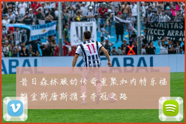昔日森林狼的传奇重聚加内特乐福维金斯唐斯携手夺冠之路